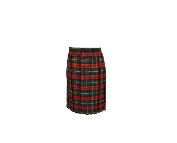 Peel Park Tartan School Skirt