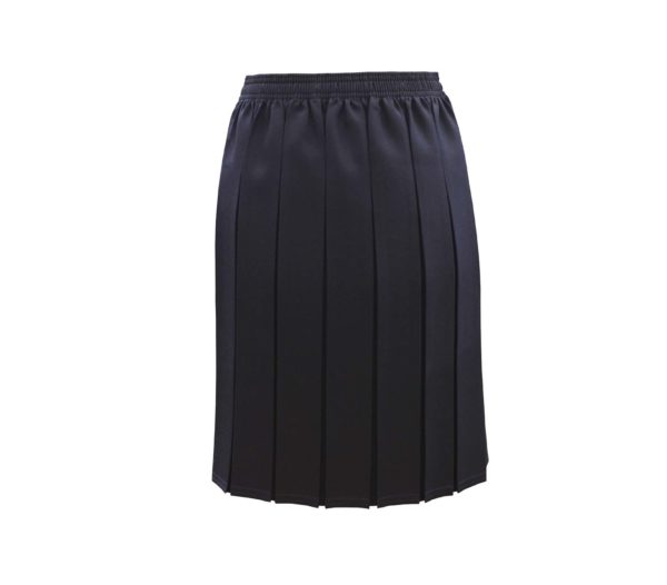 Navy Blue Box Pleat Skirt