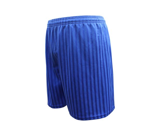 Royal PE Shadow Shorts