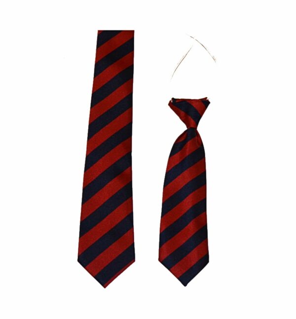 Christ the King RC School Ties