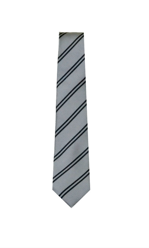 Albion Academy Tie