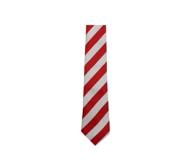 St Anthony's Primary Tie